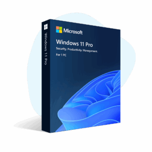 Windows 11 Pro