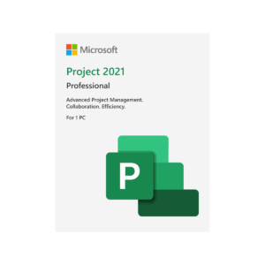 Project 2021 Professional