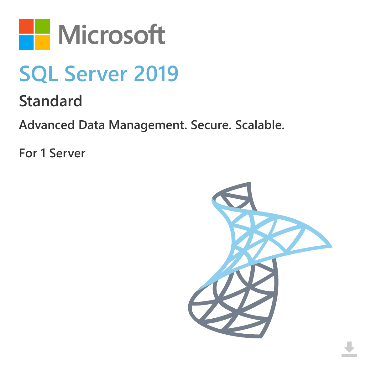 SQL Server 2019 Standard - Imagen 2