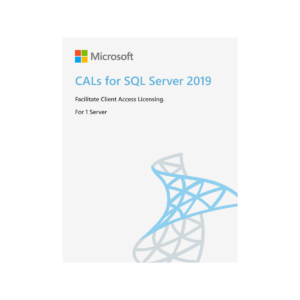 CALs for SQL Server 2019 [100]