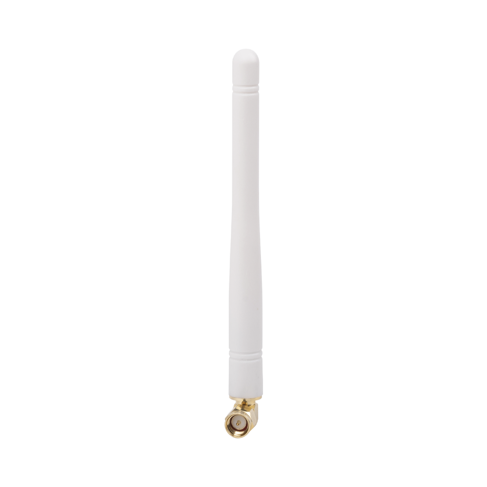 DSANTCAM-AD-1-l.png