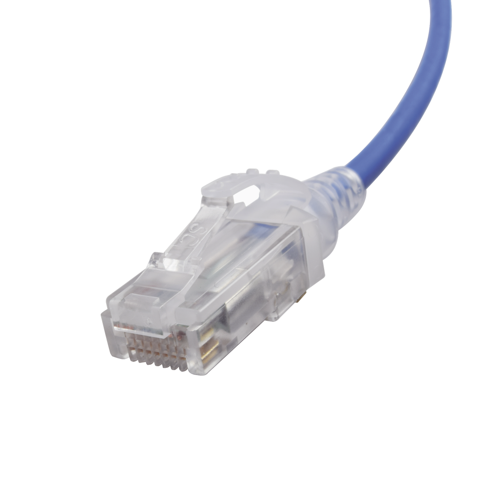 MC6050628-AD-1-l.png