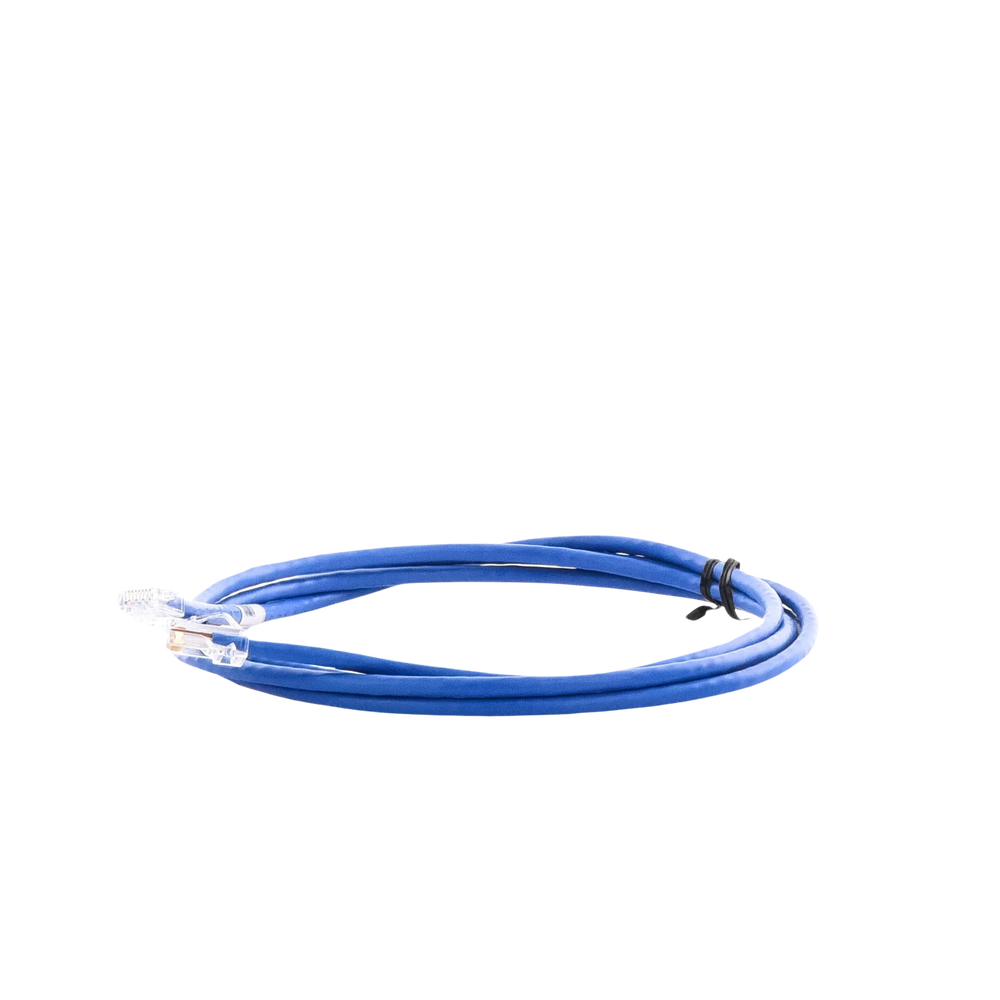Cable de Parcheo UTP Categoría 5e, con Plug Modular en Cada Extremo - 2 Metros (6.56 Pies) - Azul - Imagen 3