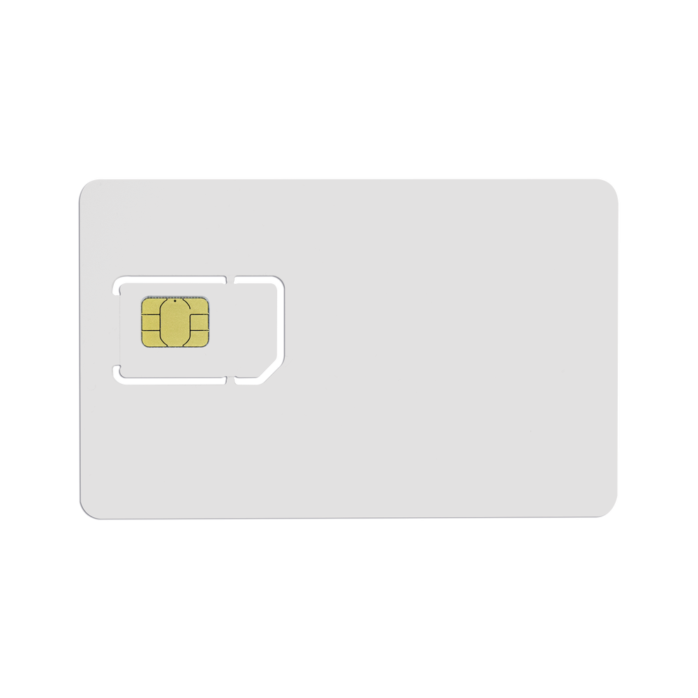 RENOVACION25MB-AD-1-l.png
