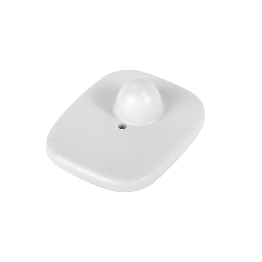 T005-FRENTE-l.png