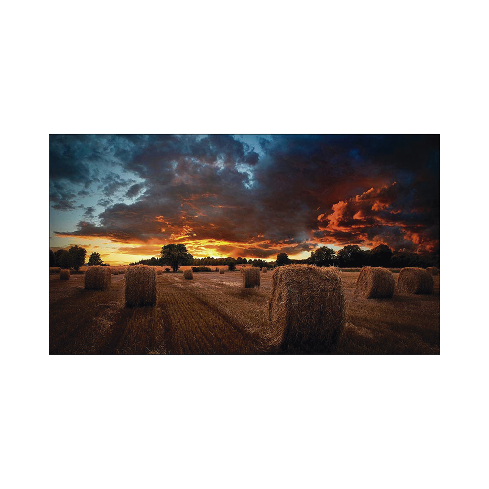 Pantalla Profesional de 55" para Video Wall / Full HD (1080p) / Display port - HDMI - DVI / 24/7 / soporta conexion Daisy chain por DP / Bisel Ultra Delgado de 2.3mm  / Compatible VESA 600x400
